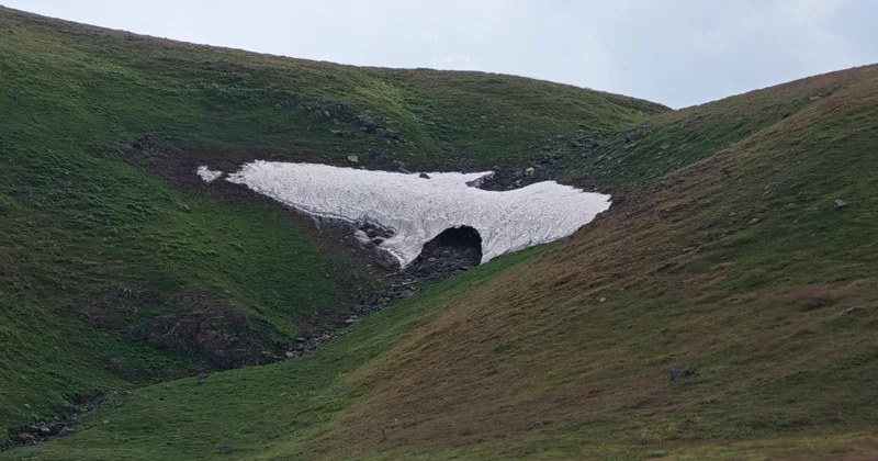 Avqustun ortasında qar və dağ çiçəkləri: Kəlbəcər yaylaqlarından FOTO REPORTAJ