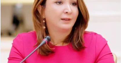Aynur Camalqızıdan jurnalistlərin “məmurlaşmasını” tənqid
