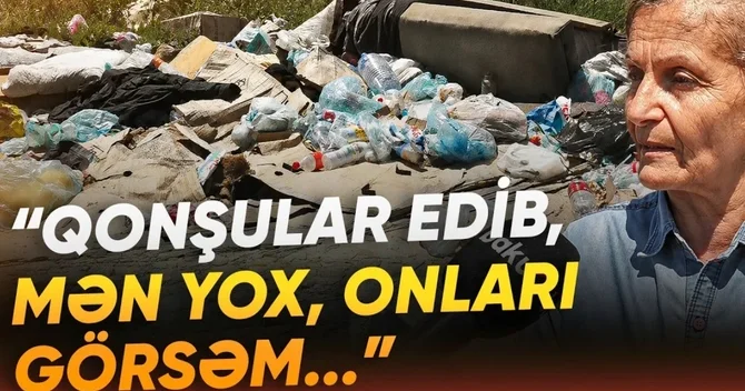 Üfunət və çoxalan həşəratlar: Mərdəkan sakinlərinin həllini tapmayan problemi