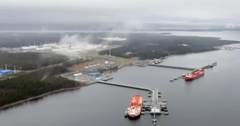Атака дронов на порт Приморск: новые подробности
