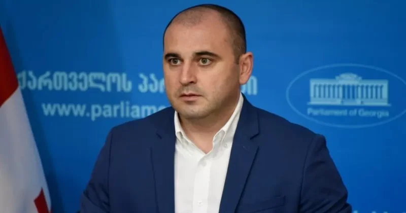 Суд в Грузии арестовал экс председателя партии Саакашвили