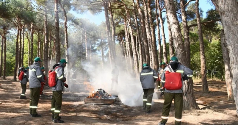 Mərkəzi Nəbatat Bağında təlim keçirildi Fotolar
