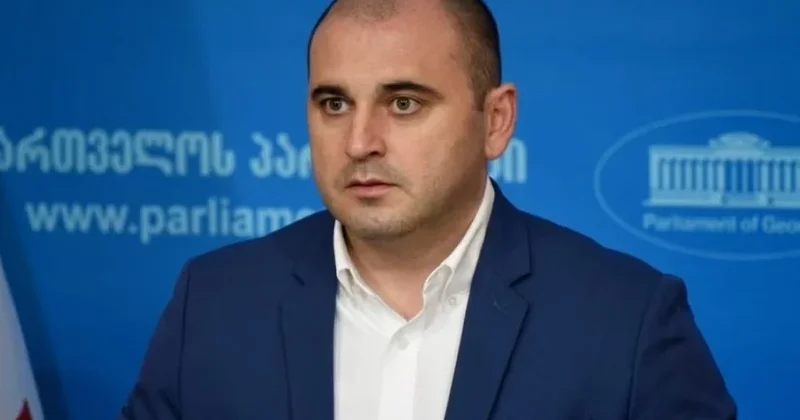 Gürcüstanda müxalifətçi həbs edildi