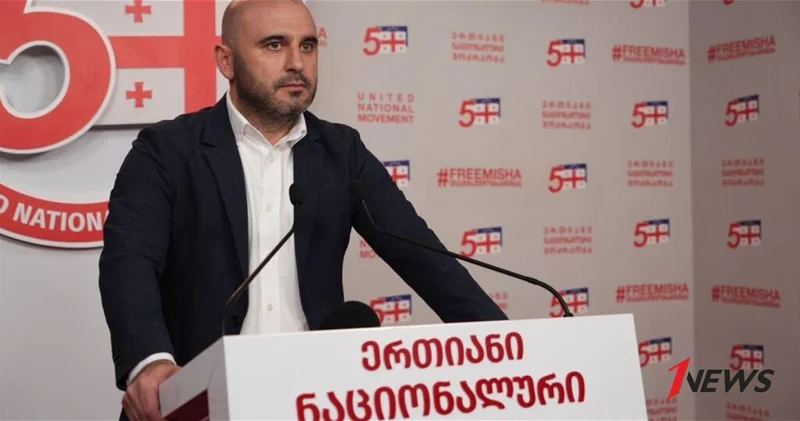 Экс лидера основанной Саакашвили партии обвинили в призывах к свержению власти