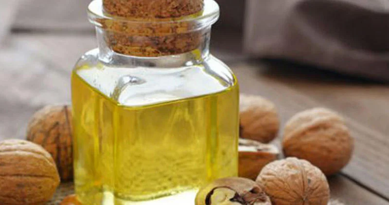 Qoz yağının faydaları necə istehlak edilməlidir?