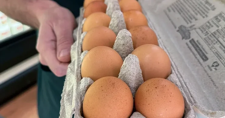 Kaliforniyada salmonella epidemiyası qeydə alınıb