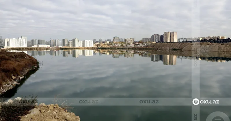 Экологическая катастрофа на озере Ганлы гёль: на берег массово выбрасывает мертвую рыбу
