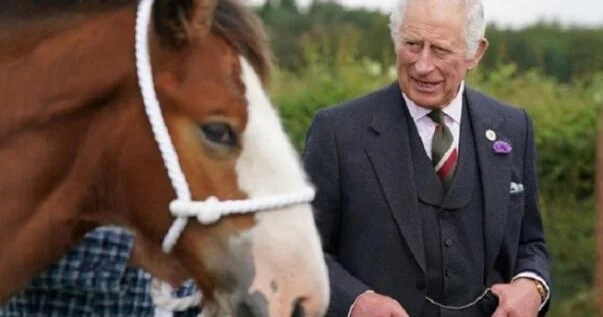 Macarıstan hökuməti Britaniya Kralına hədiyyə olunan atları geri istəyib