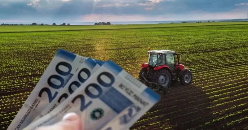 2027 ci ildən fermerlərə böyük dəstək: Yeni subsidiya məbləğləri