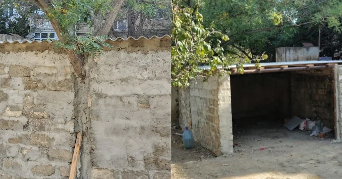 Nizamidə tikinti zamanı anormal hadisə; ağacı divara hördülər FOTO