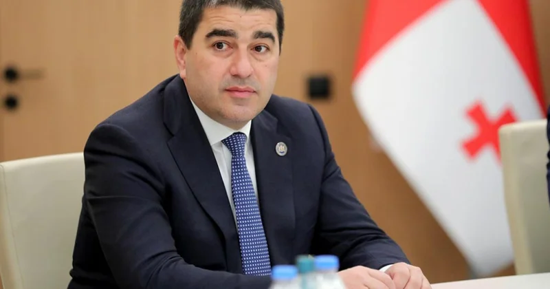 Gürcüstan parlamentinin spikeri Avropa İttifaqını bu ölkədə baş verən hadisələri pisləməyə çağırıb