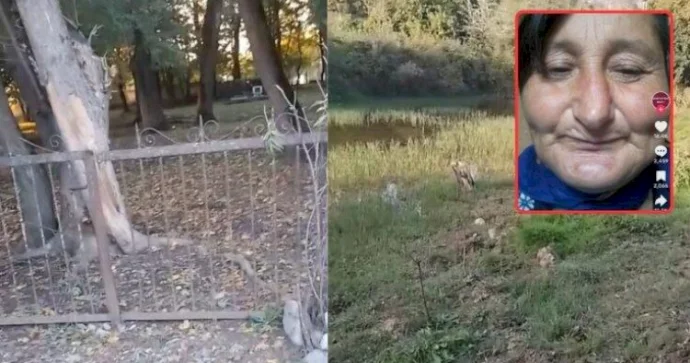 DİN sosial şəbəkələrdə gündəm olan Qərənfilin iddialarını cavablandırdı