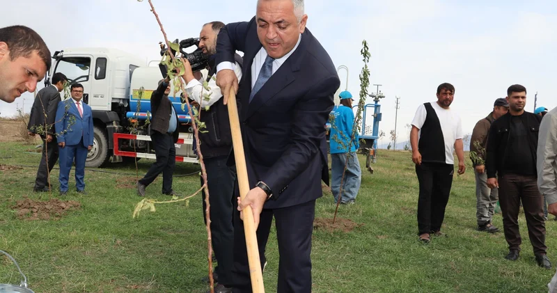 Ballıcada badam ağacları əkilib FOTO