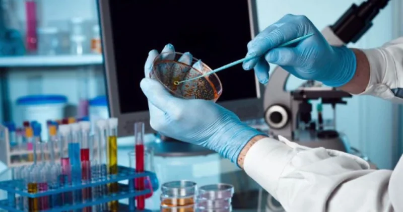 ÜST antibiotiklərə davamlı infeksiyaların kəskin surətdə artması barəsində xəbərdarlıq edib