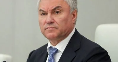Volodin: Qeyri qanuni miqrantları deportasiya gözləyir