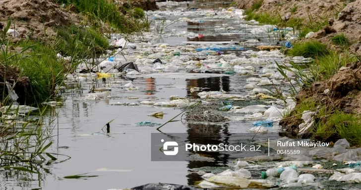 Экокатастрофа в Говсане: канализационные стоки сбрасываются прямо в море