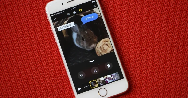 Apple şirkəti video tətbiqini bağladı