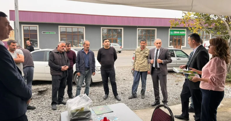 Oğuz sakinlərinə qəhvəyi mərmər bağacığına qarşı mübarizə ilə bağlı tövsiyələr verilib