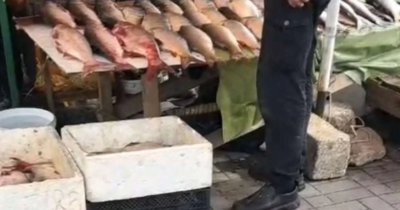 "20 Yanvar"da üfunət iyi sakinləri bezdirdi: "Qanlı balıqlar, antisanitariya... Dəhşətdir!" VİDEO