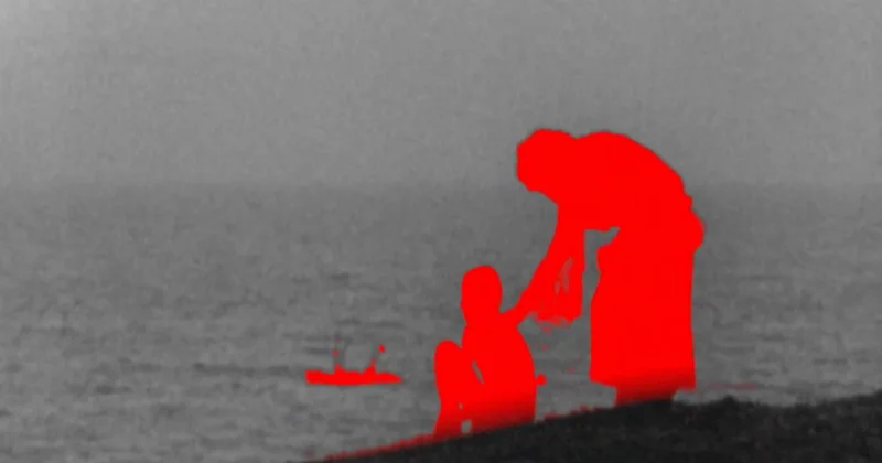 Fələstin haqqında film tarixi yaddaş uğrunda mübarizəyə çevrildi