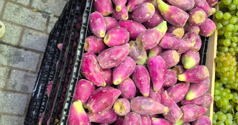 Ağır xəstəliyi sağaltdığı deyilən həmin bitki Bakı bazarında