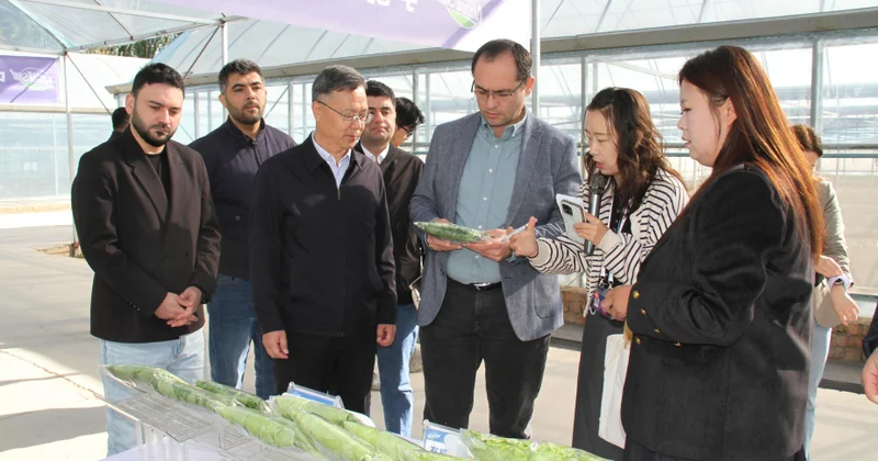 Çində orqanik istehsal və ağıllı istixana texnologiyaları öyrənilib