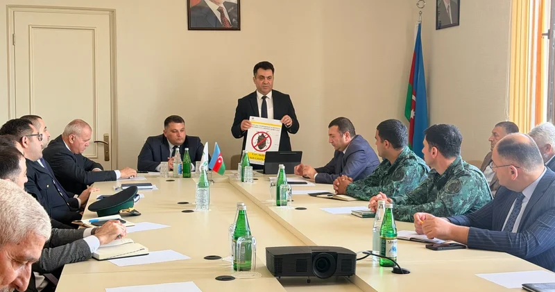 Qəhvəyi mərmər bağacığına qarşı mübarizə müzakirə olunub