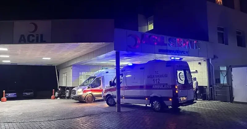 В Турции 80 человек получили пищевое отравление