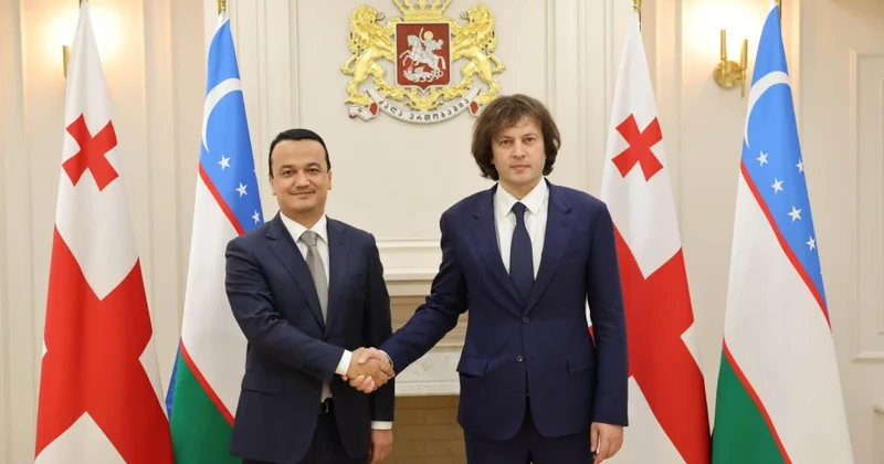 Gürcüstan və Özbəkistan rəsmiləri Orta Dəhlizin perspektivlərini müzakirə ediblər