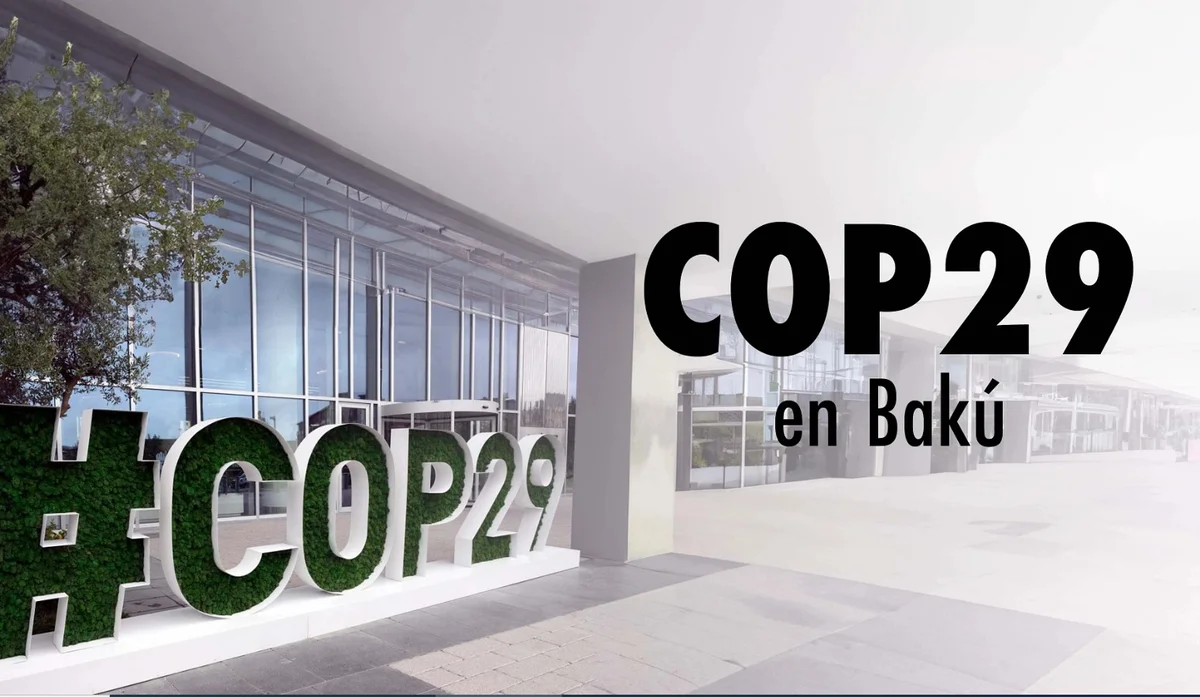 СМИ Италии и Ватикана активно освещают COP29