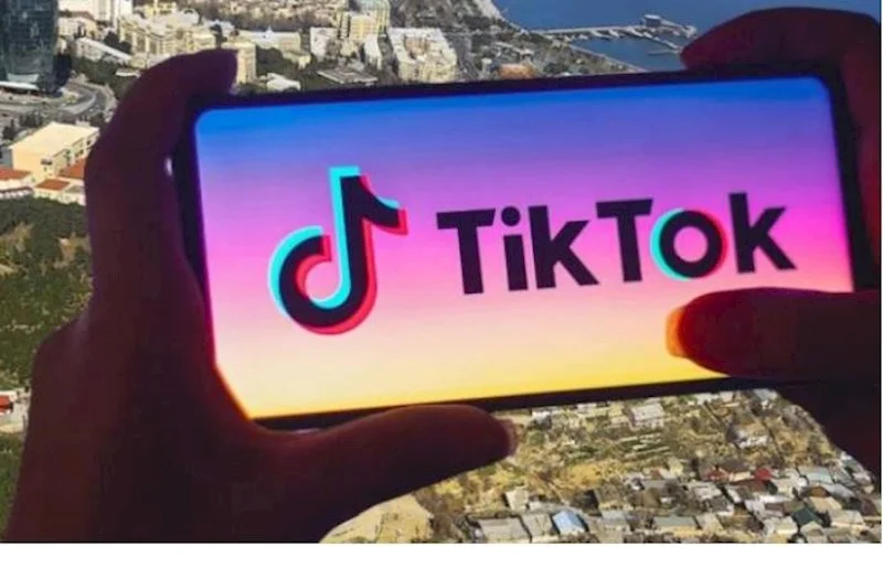 TikTok COP29da #ClimateAction kampaniyasını başladıb