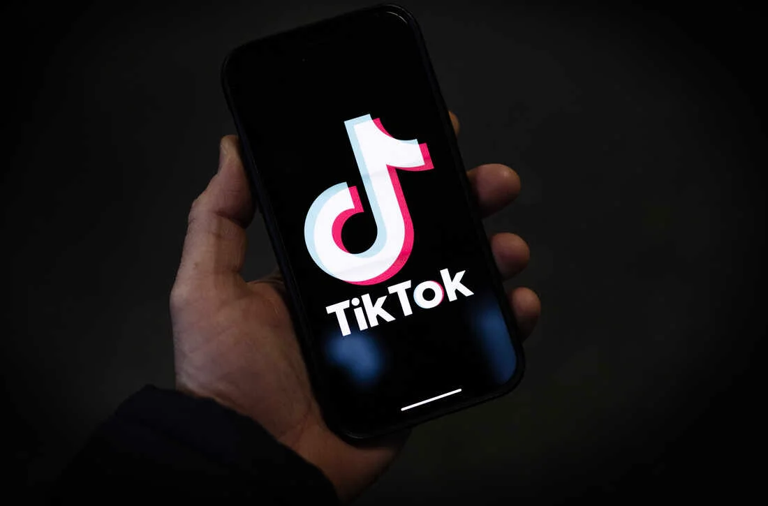 TikTok COP29da #ClimateAction kampaniyasını başladır