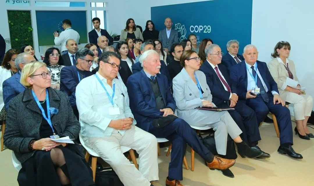 COP29da konfrans: İqlim böhranına qarşı QHTlərin rolu FOTOLAR