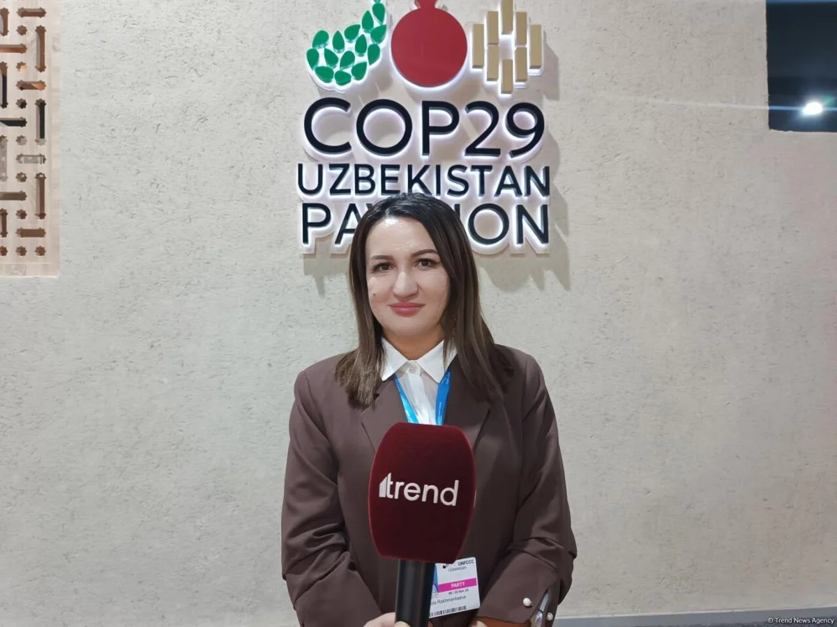 COP29da qəbul olunan qərarlar bəşəriyyət üçün böyük addım olacaq