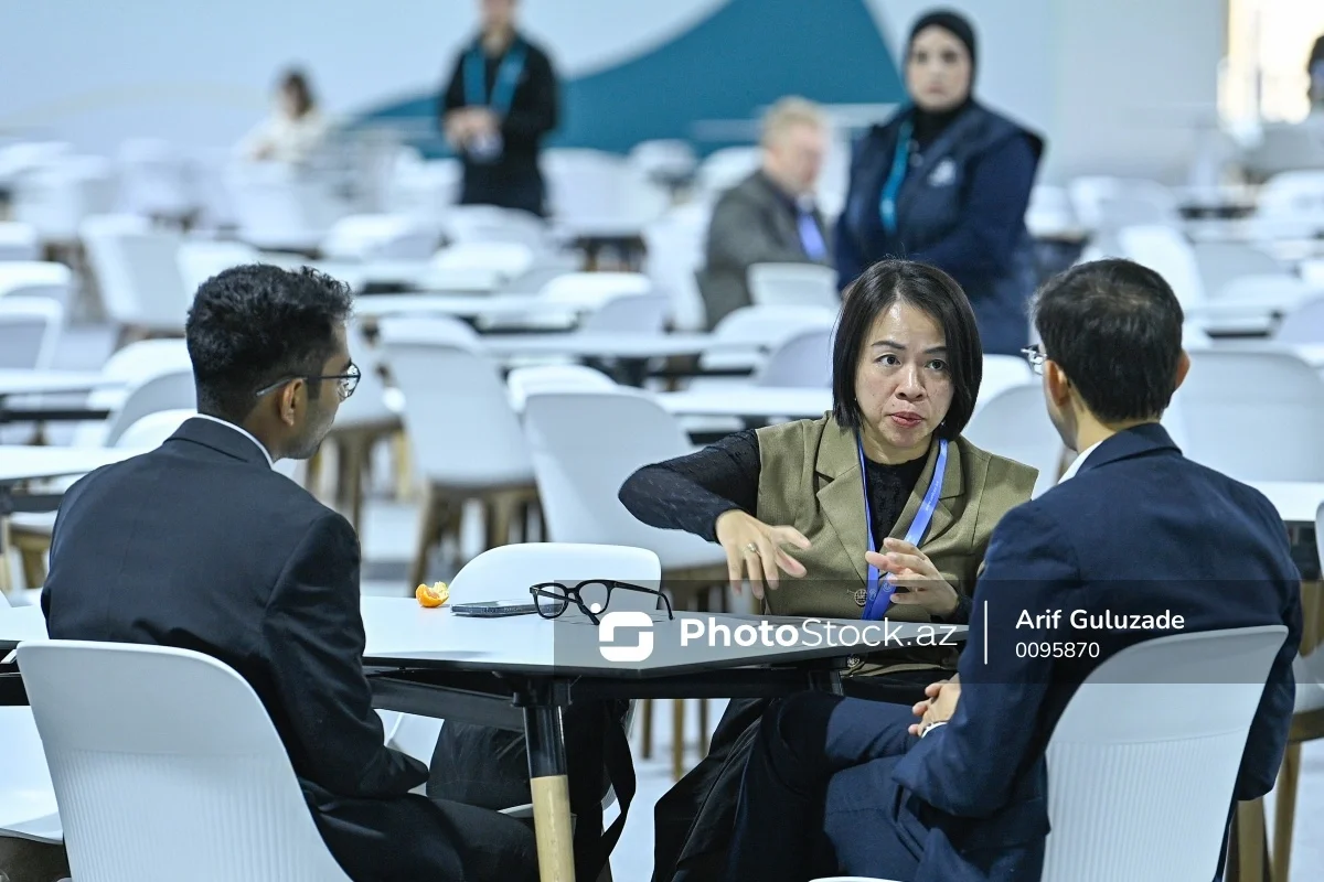 COP29un Yaşıl Zonasında Yuxarıda necədirsə, aşağıda da elədir adlı tədbir keçirilib