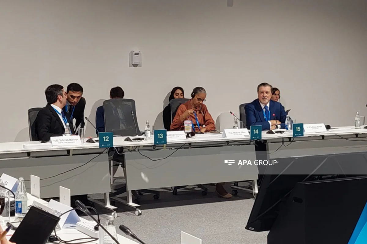 COP29: Azərbaycan, Türkiyə və BMTnin birgə pavilyonunun açılışı oldu Yeni Sabah