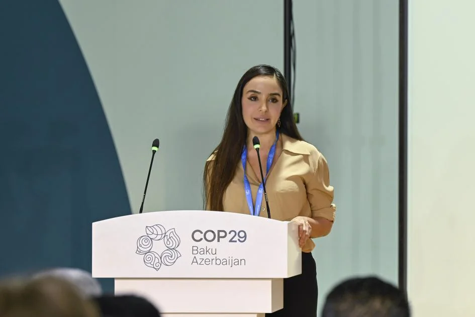 COP29 çərçivəsində Heydər Əliyev Fondunun “Azərbaycan. Təbiətin sehrində” nəşri təqdim edilib Azərbaycanda özəl xəbərlər, araşdırmalar, təhlillər və müsahibələrin tək ünvanı