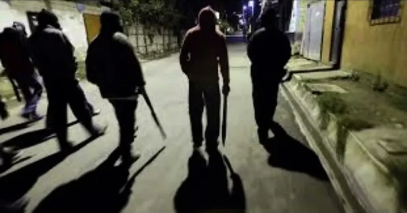 Прижигание утюгом и избиение шнуром: банда школьников держит в страхе Большой Луг в России