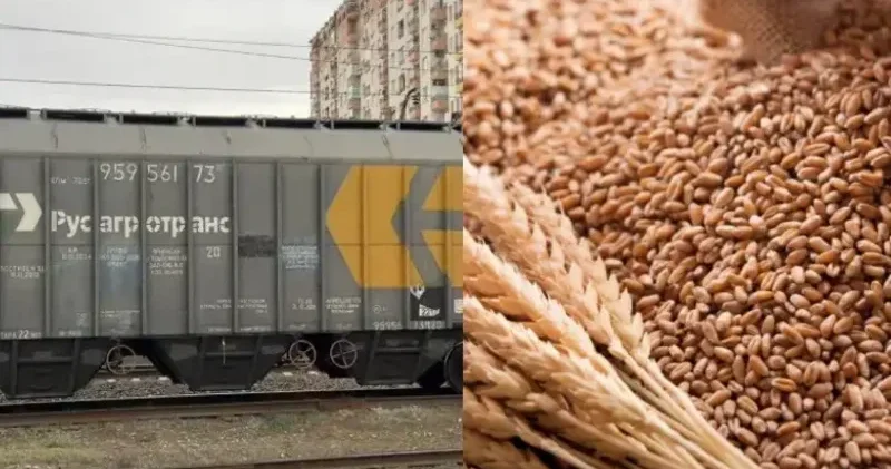 Ermənistan Azərbaycan vasitəsilə göndərilən buğdanı ekspertizadan keçirdi