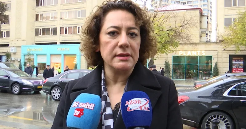 Глава представительства ТРСК поблагодарила Ильхама Алиева за поддержку Minval Politika