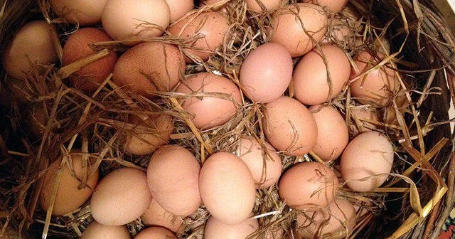 İranda yumurta üçün uzun növbə ANBAAN VİDEO