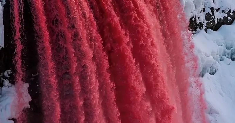 Antarktidada Qanlı Şəlalə