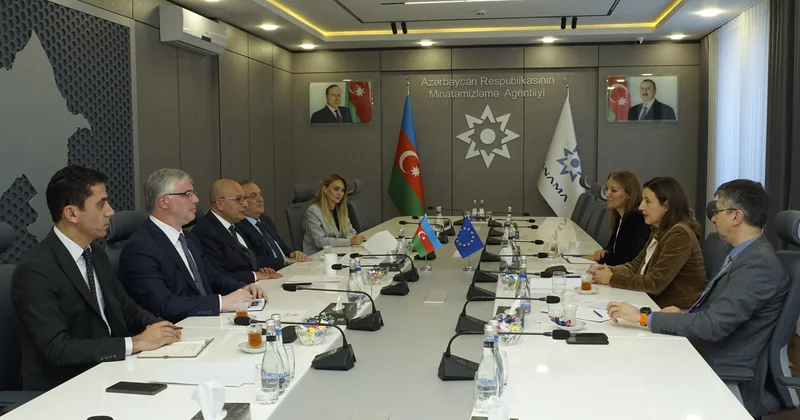 Avropa İttifaqının Azərbaycandakı nümayəndəliyinin rəhbəri ilə ANAMA da görüş