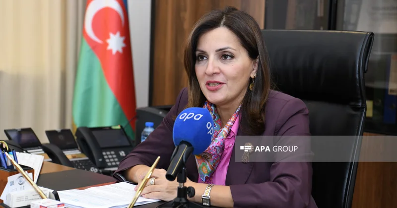 Dövlət Xidmətinin rəisi: Tarixi abidələr mərhələli şəkildə bərpa edilir Müsahibə