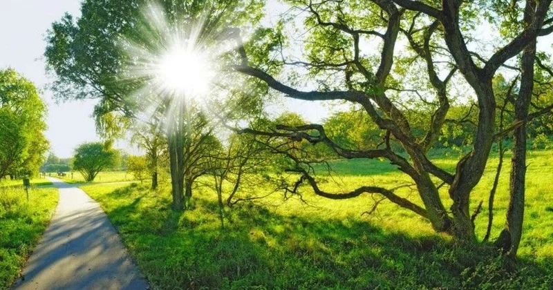 Yağış, duman, külək... Sabahın havası