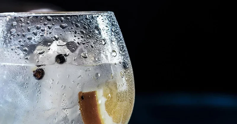 Суд ЕС запретил называть безалкогольные напитки джином