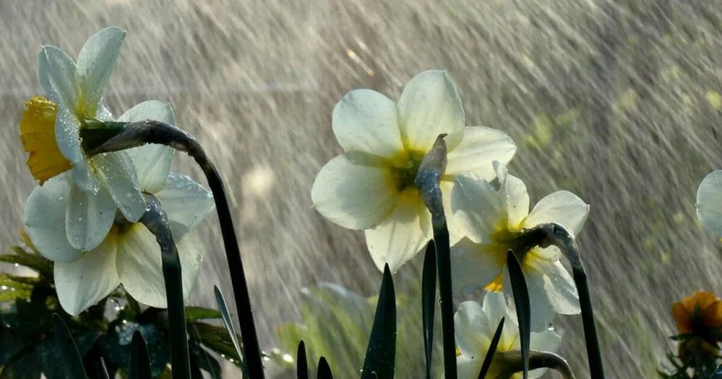 Hava kəskin dəyişir: leysan, şimşək bu tarixdə...