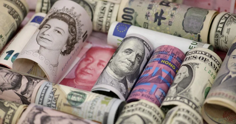 Rəsmi valyuta məzənnələri 13.11.2025