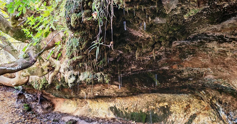 Daşın, ağacın və suyun ülfətindən yaranan biri Xocalının Damcılı bulağı VİDEO