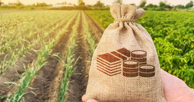 2026 cı ilin dövlət büdcəsində kənd təsərrüfatına 1,2 milyard manat ayrılıb